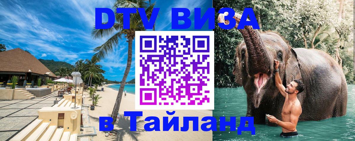 Сколько стоит DTV виза — актуальные цены, оформление даже без документов - 22.11.2025 